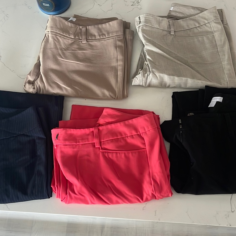 New York & company pants